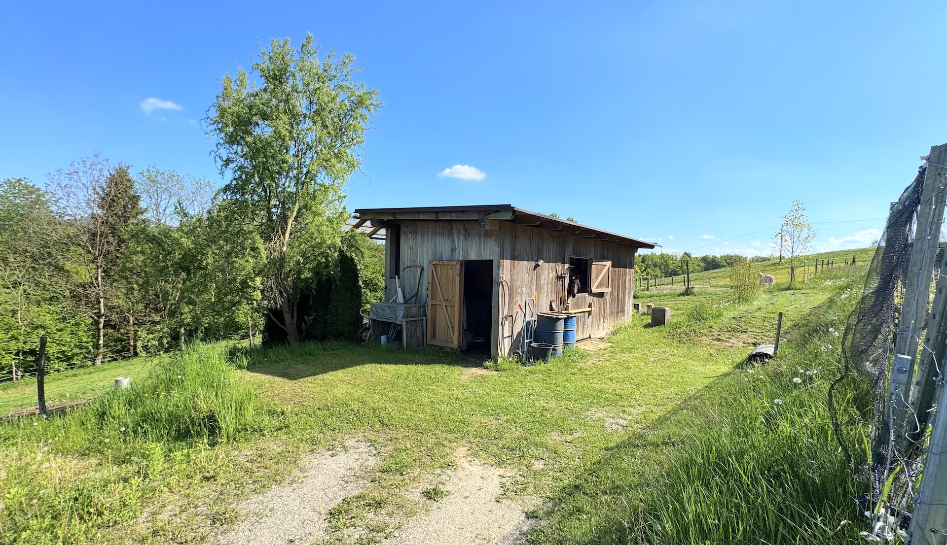 bz-immobilien